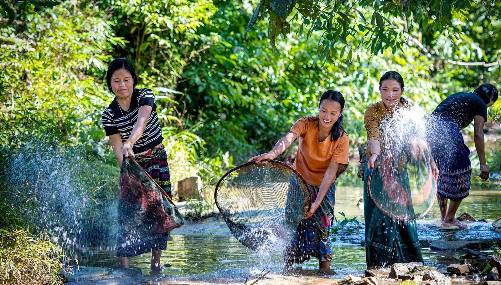Giới thiệu