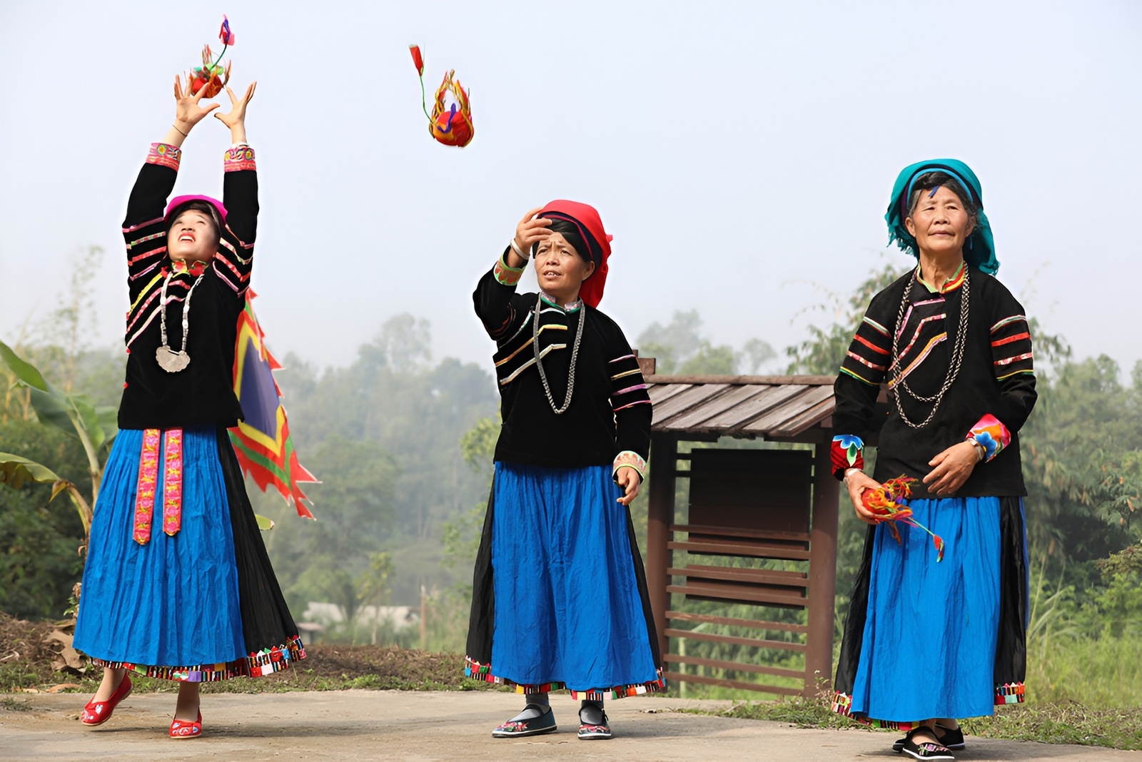 Giới thiệu