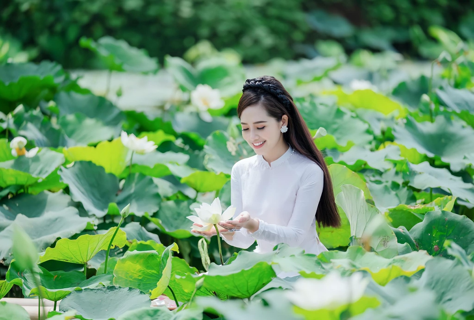 Hoa Sen - Nguyễn Ngọc Trang 2020