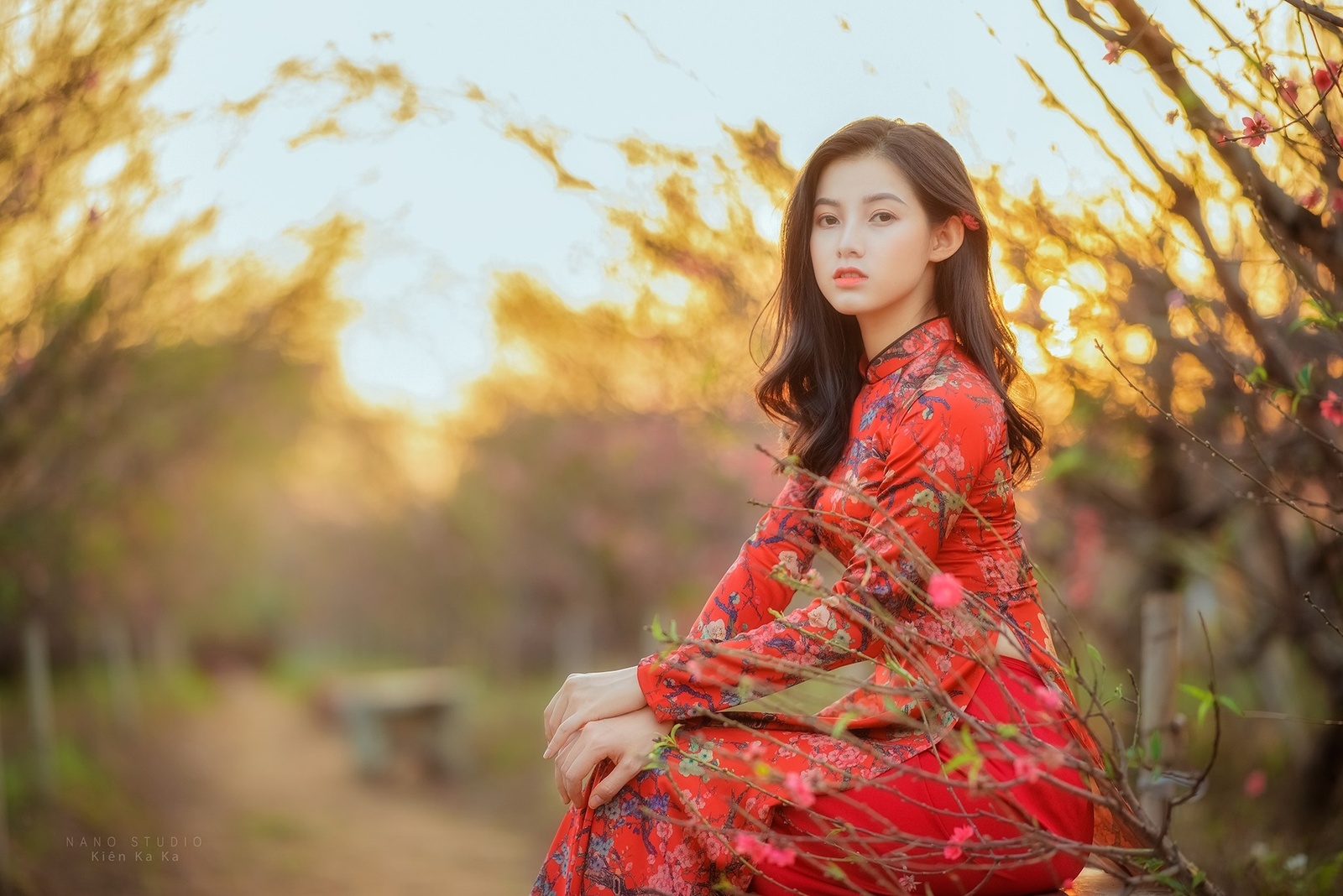 Hoa Đào - Phạm Khánh Linh 12.2019