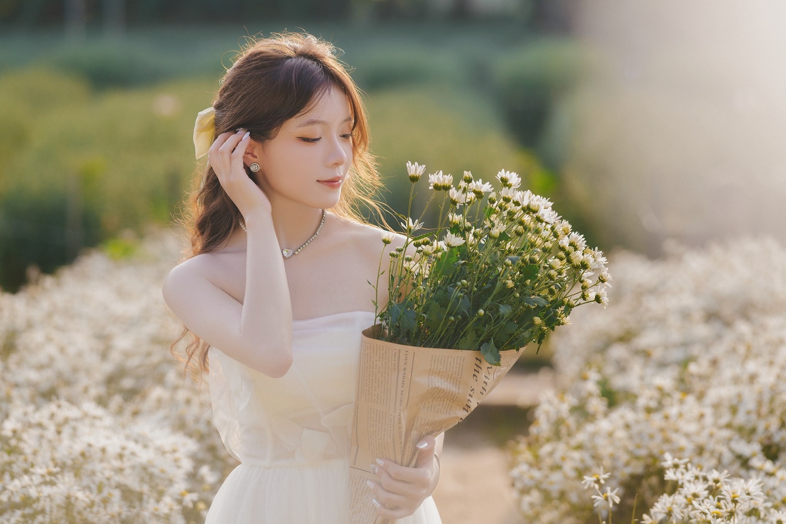Cúc Họa Mi - Hương Dẹo 11.2023