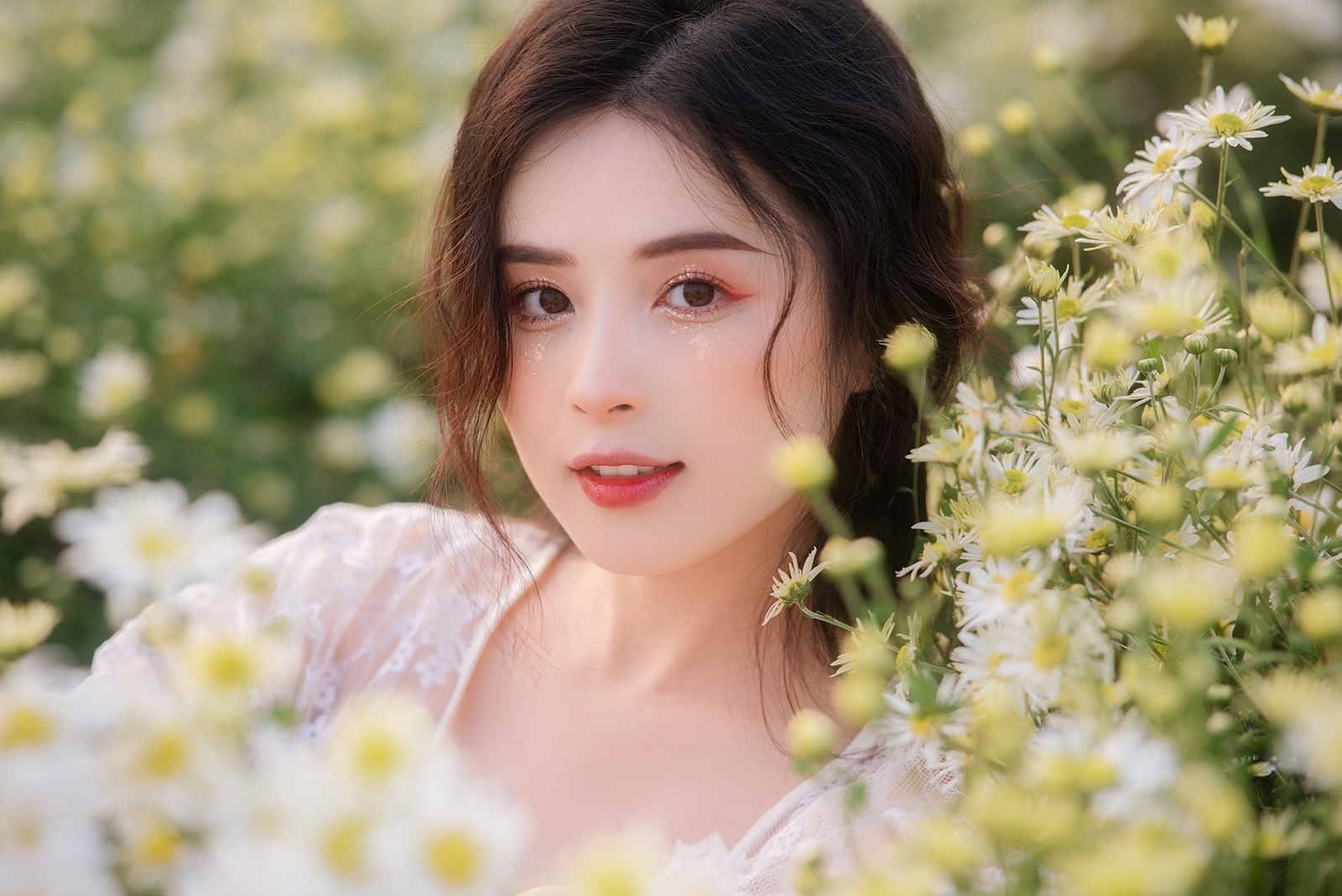 Cúc Họa Mi - Thảo Hương 12.2020