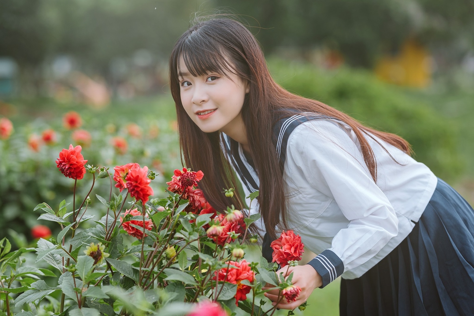 Hoa Thược Dược - Trang Emma 3.2020