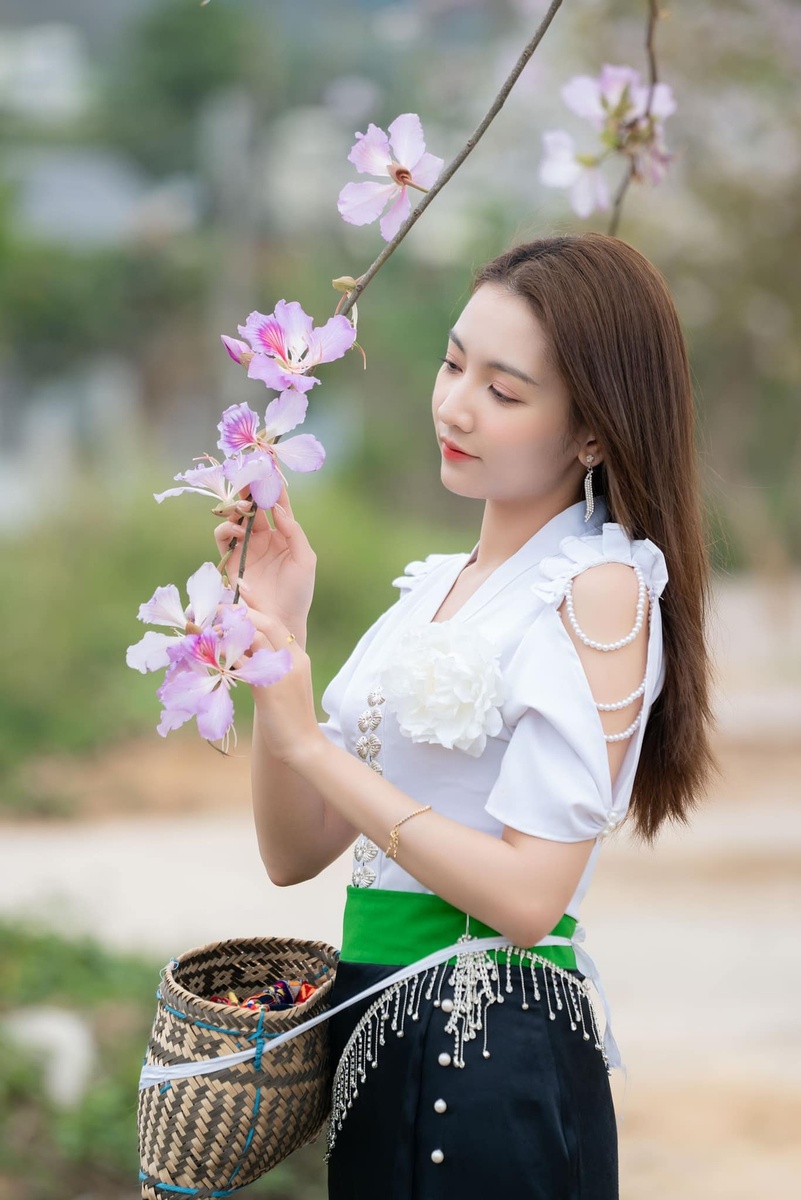 Hoa Ban - Phan Hương 4.2024