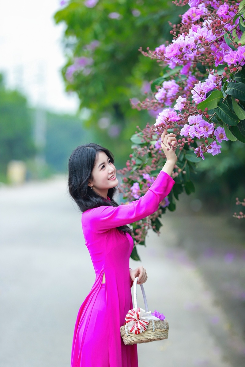 Hoa Bằng Lăng - Hải Nguyễn 5.2024