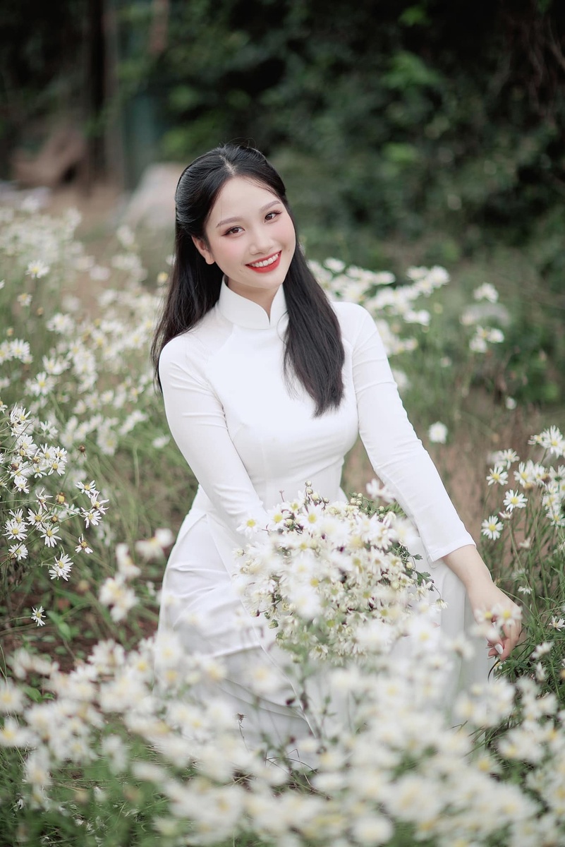 Cúc Họa Mi - Hoàng Lan 11.2023