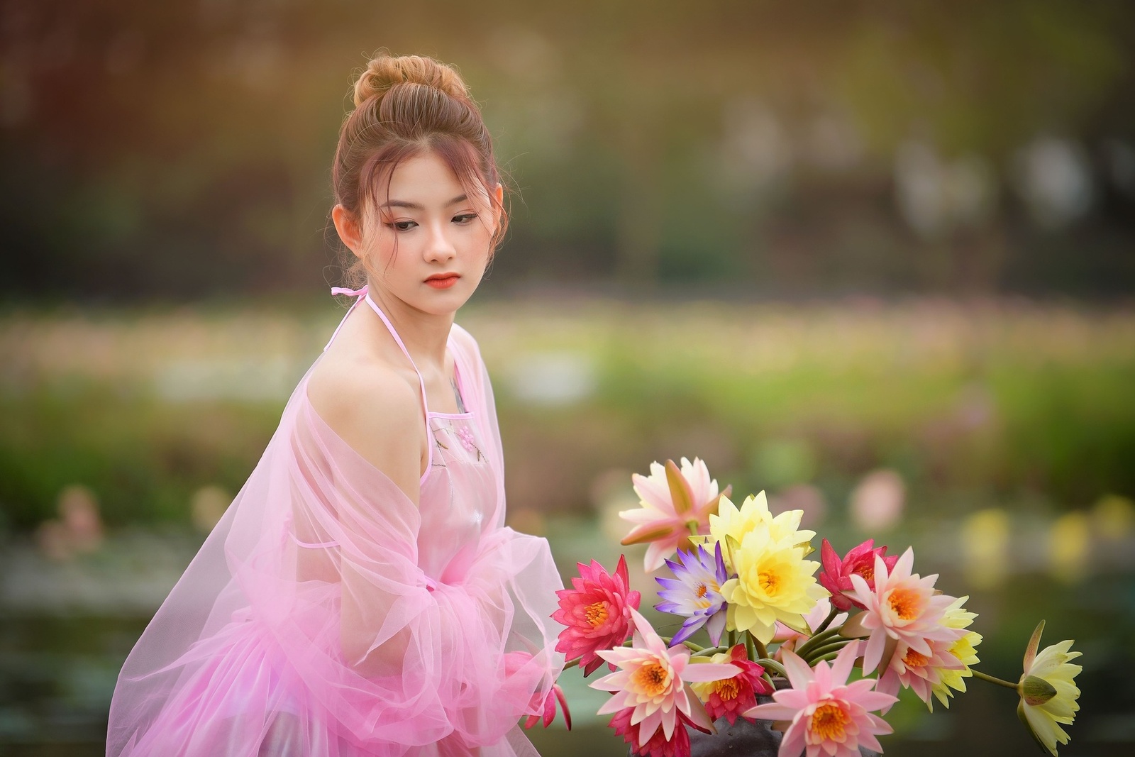 Hoa Súng - Mai Chi 3.2024