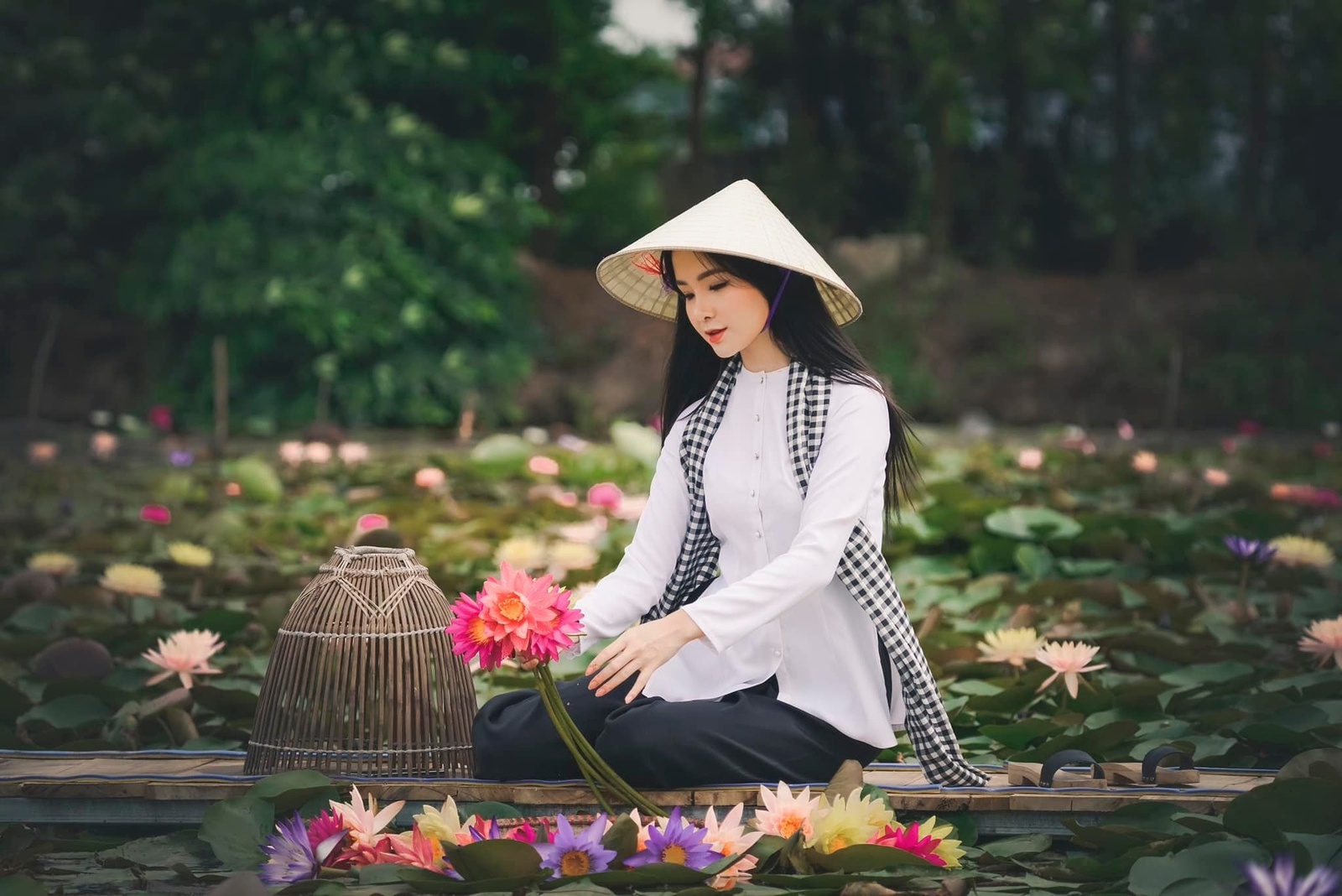 Hoa Súng - Duyên Đặng 5.2023