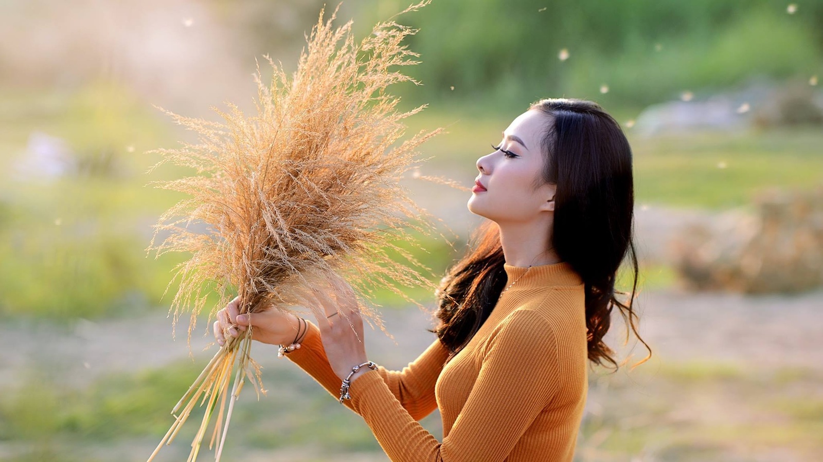 Hoa Cỏ May - Nguyễn Huyền Ngọc 12.2016