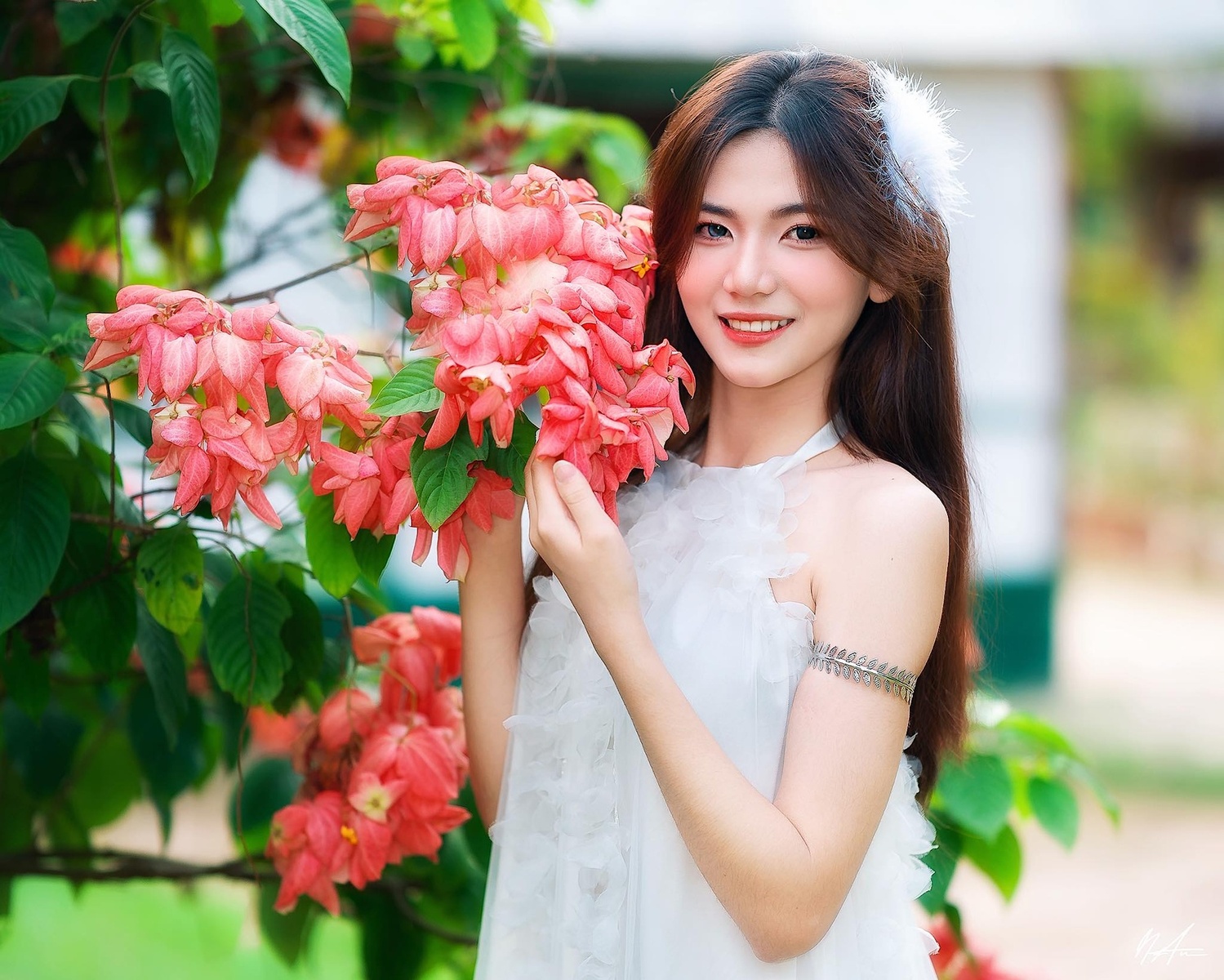 Hoa Bướm Hồng - Kiều Chinh 10.2023