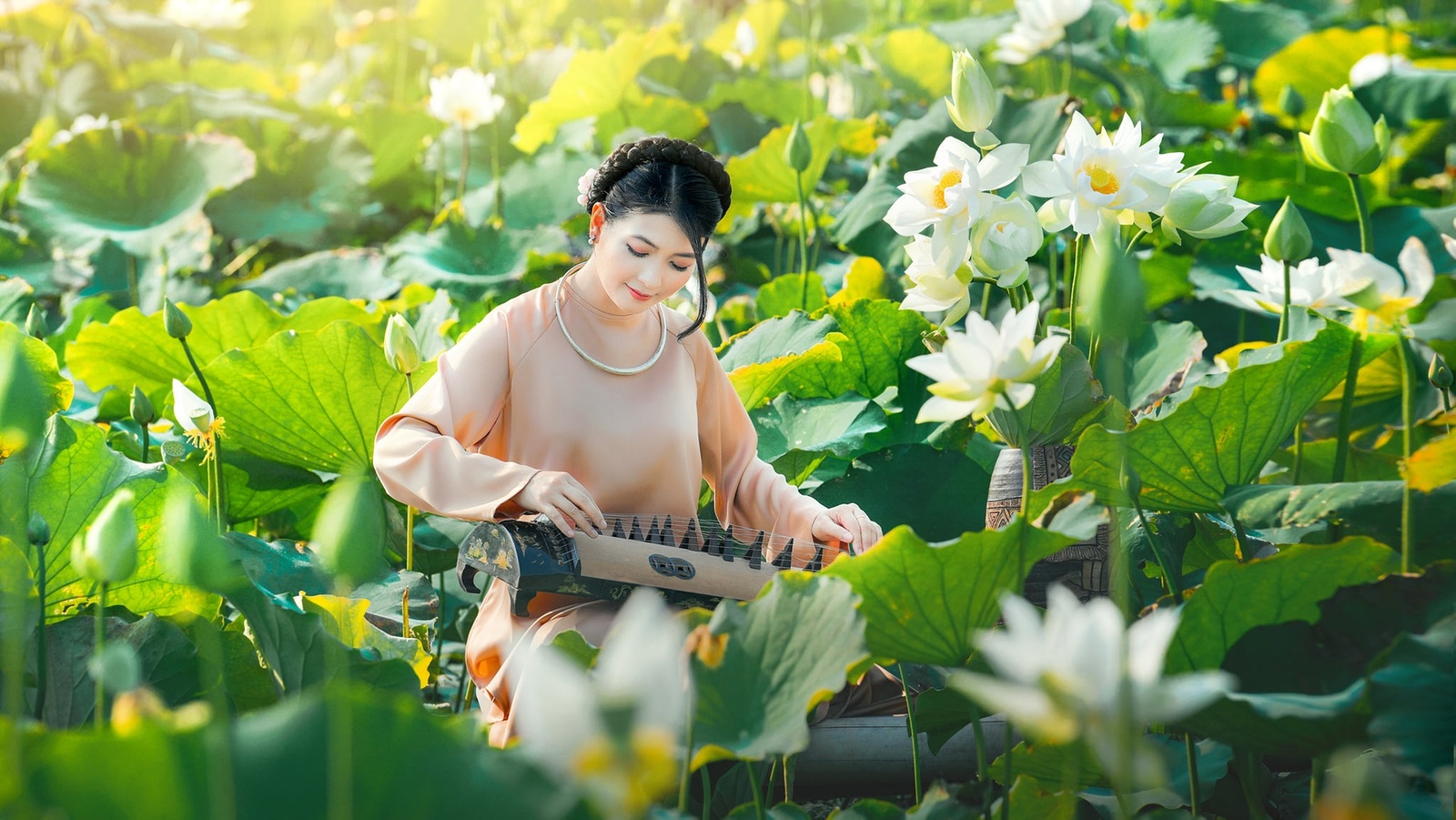 Hoa Sen - Nguyễn Khánh Chung 5.2022