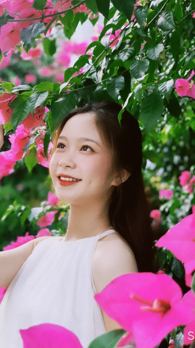 Hoa Giấy - Đèo Khánh Thùy 7.2023
