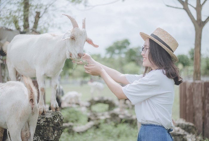 Ảnh lưu niệm