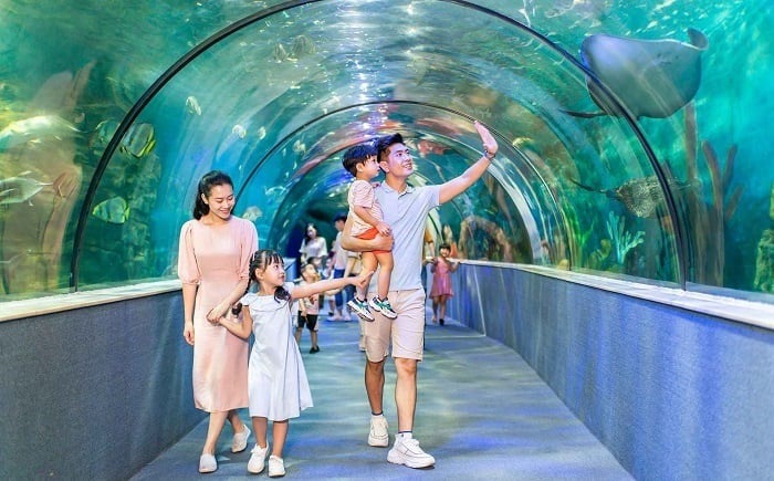 Ảnh đẹp check in