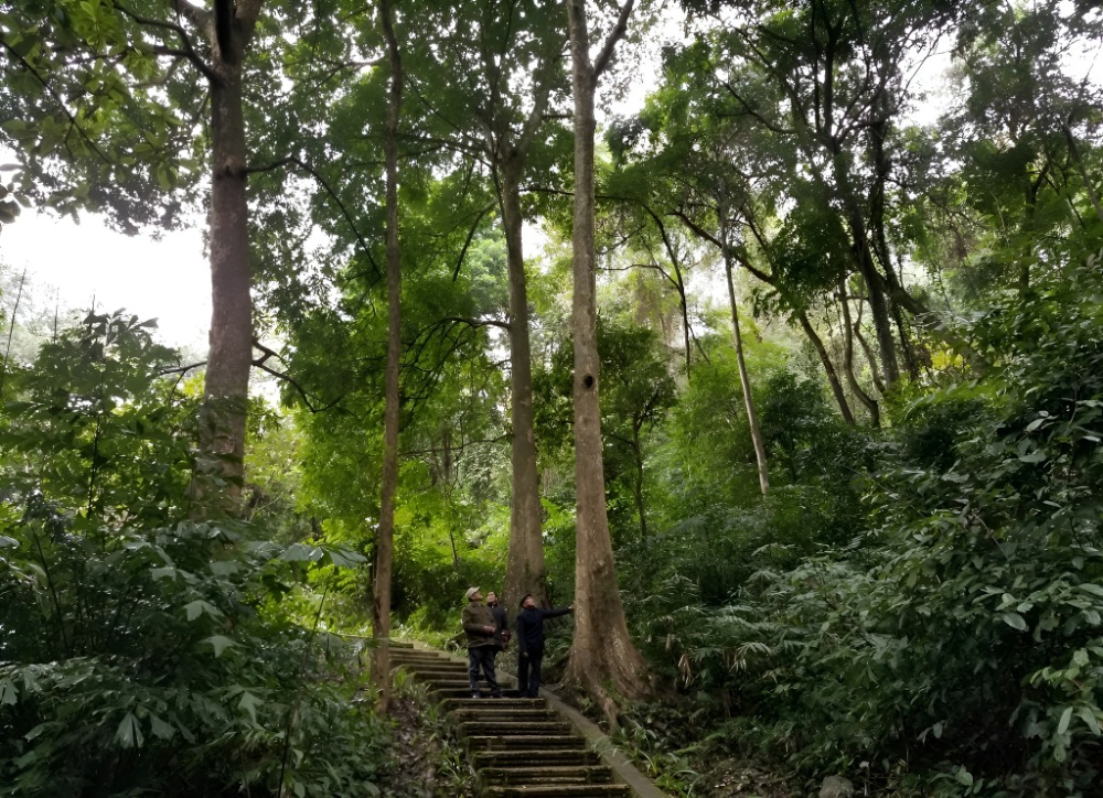 Khu di tích rừng Trần Hưng Đạo