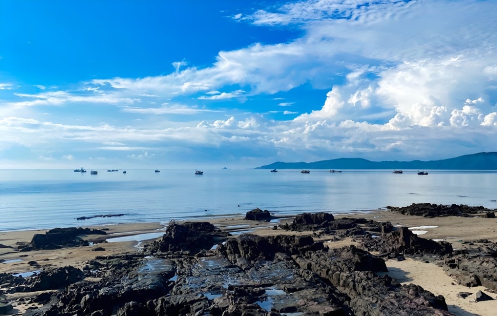 Bãi Biển Trà Cổ