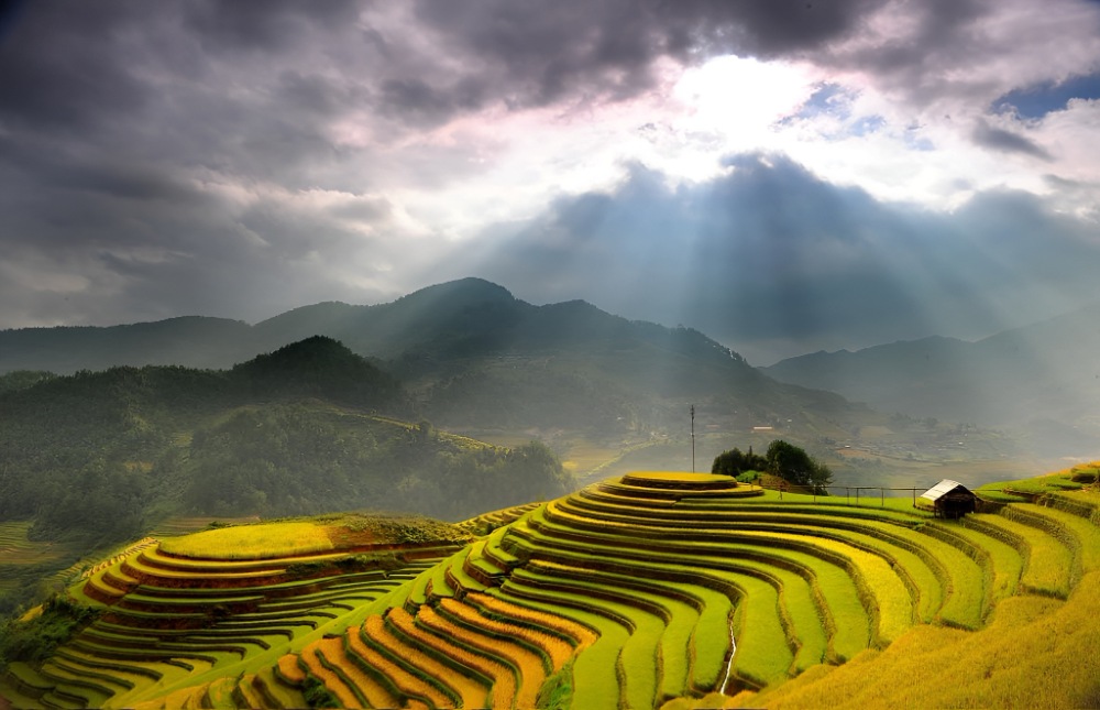 Mù Cang Chải