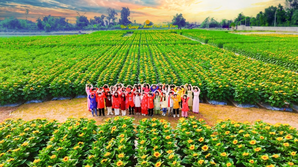 Cánh Đồng Hoa Hướng Dương
