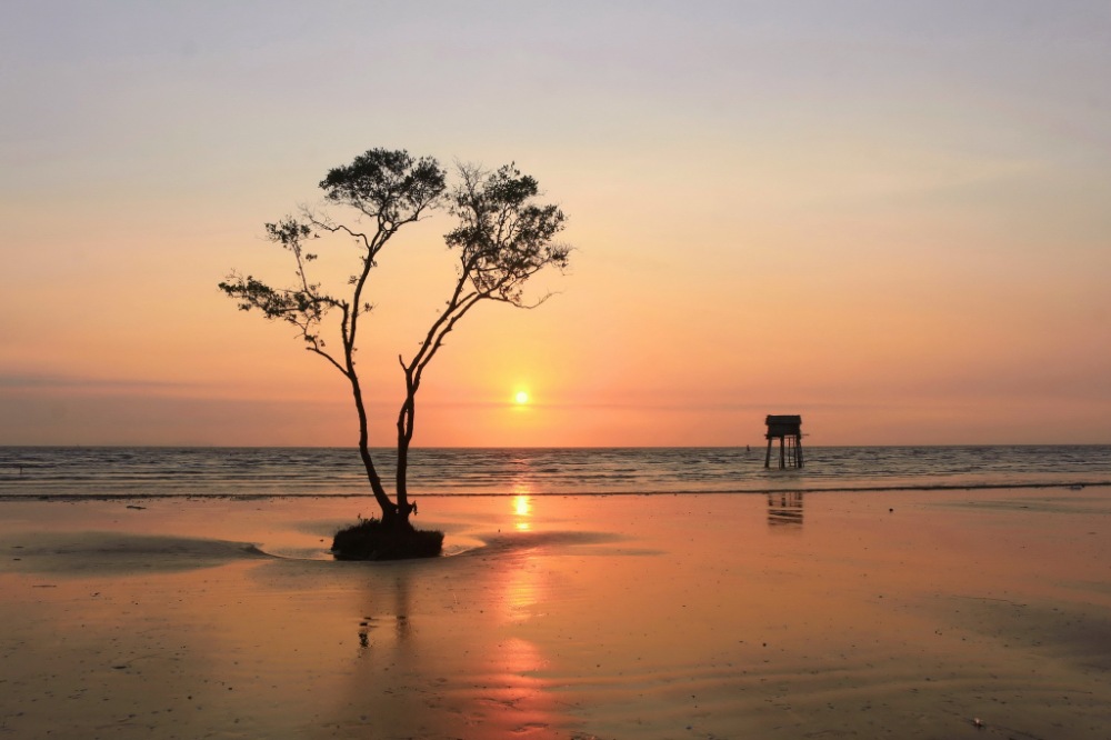 Biển Tân Thành