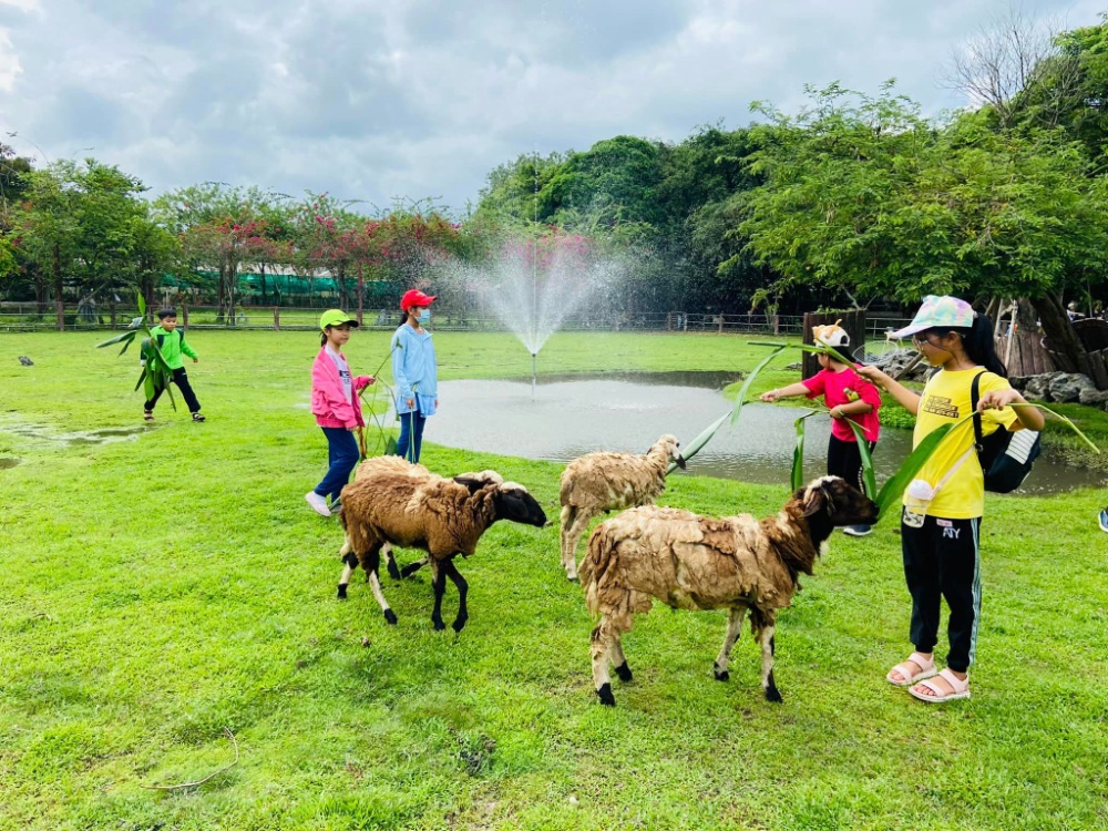 Nông Trang Xanh Củ Chi - Green Noen