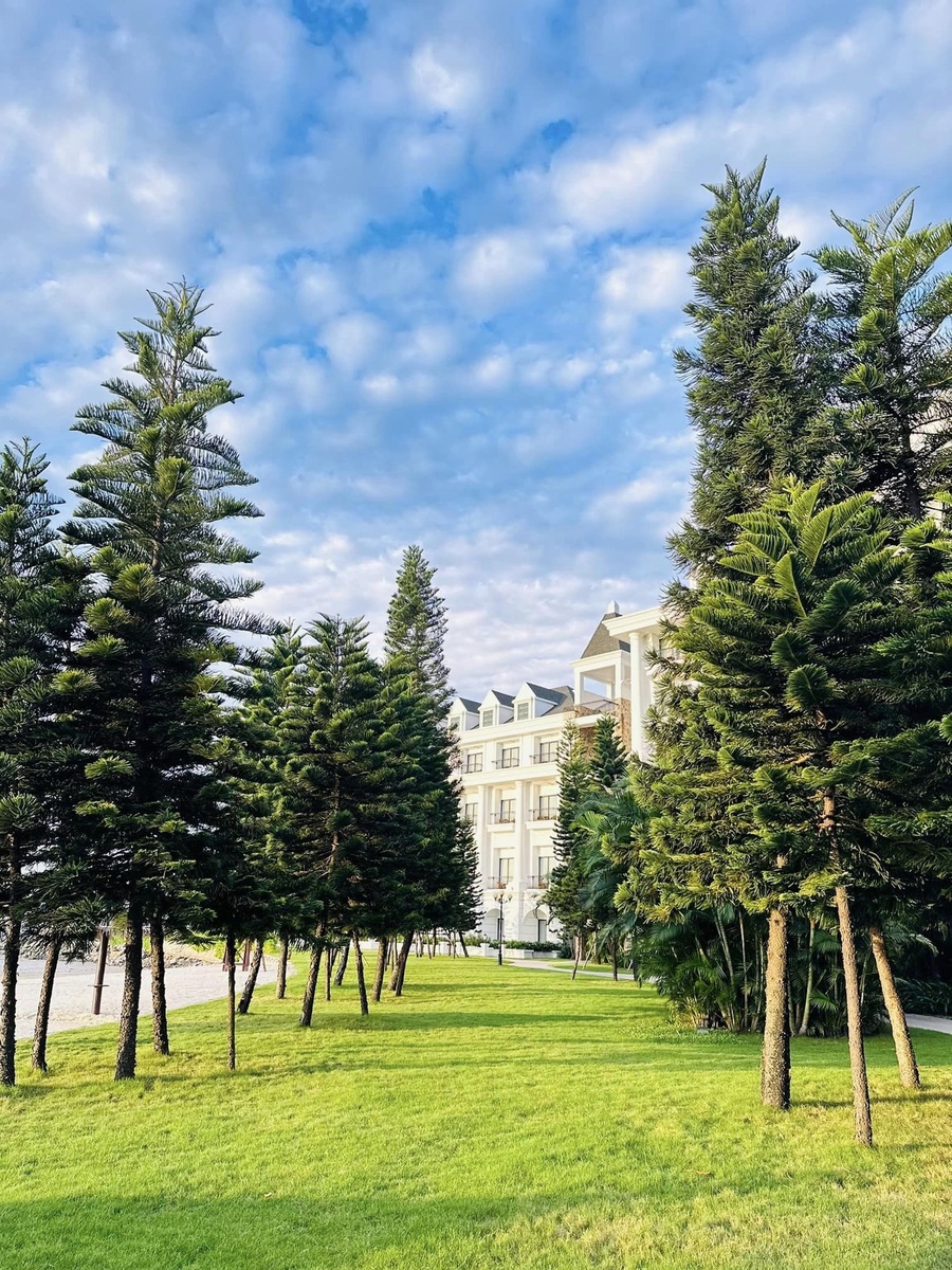 Giới thiệu — ảnh 2