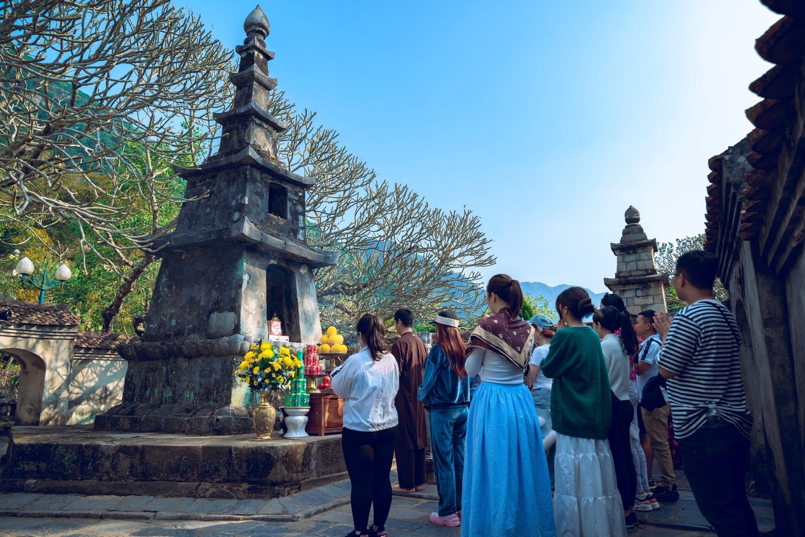 Giới thiệu