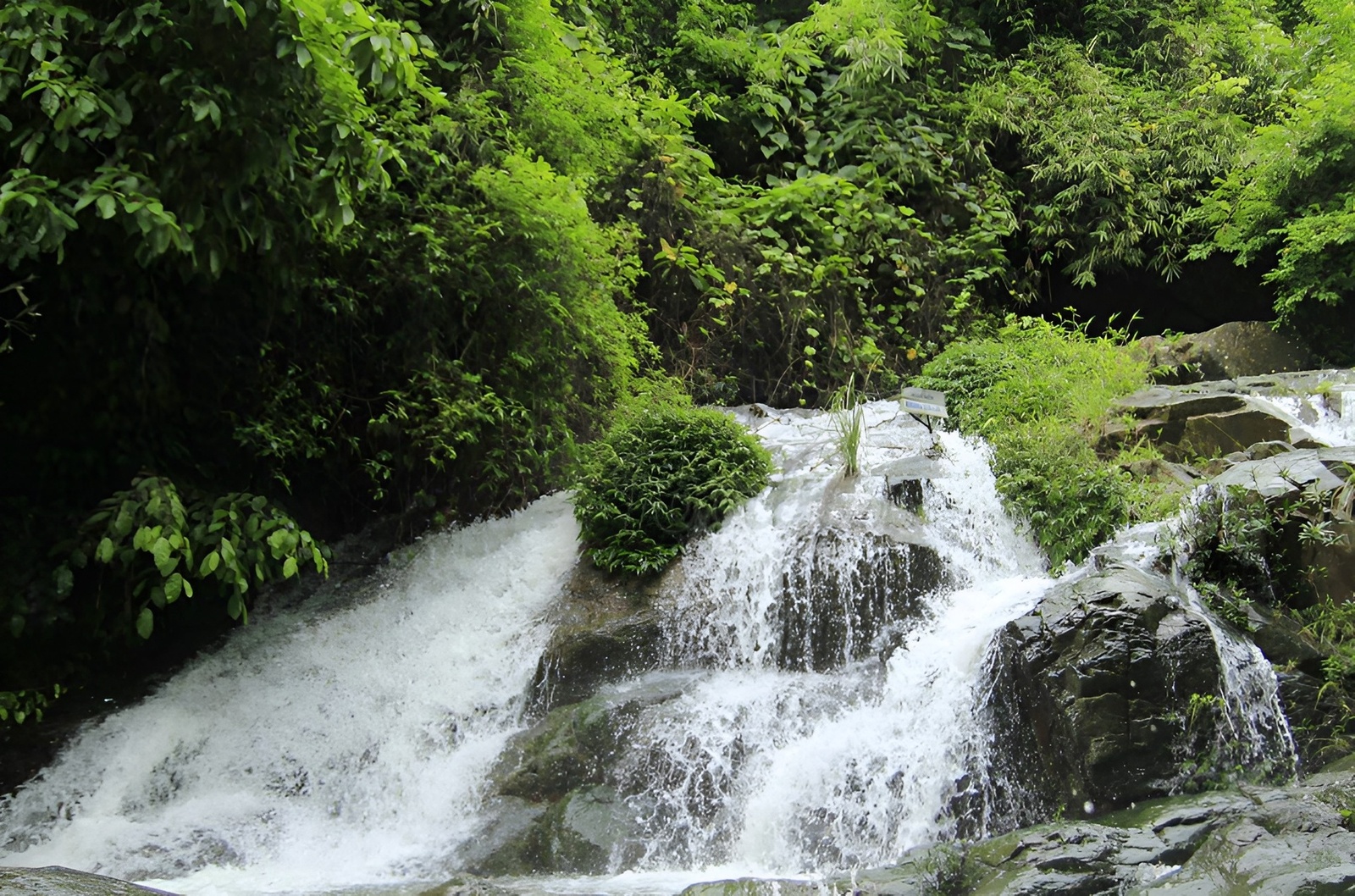 Giới thiệu