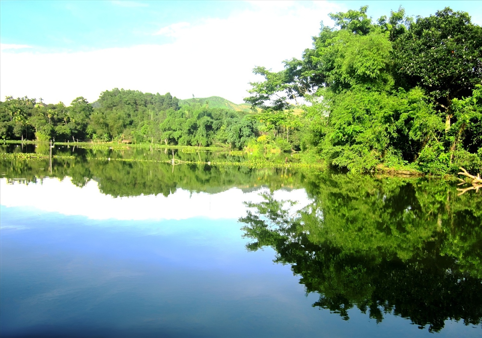 Giới thiệu