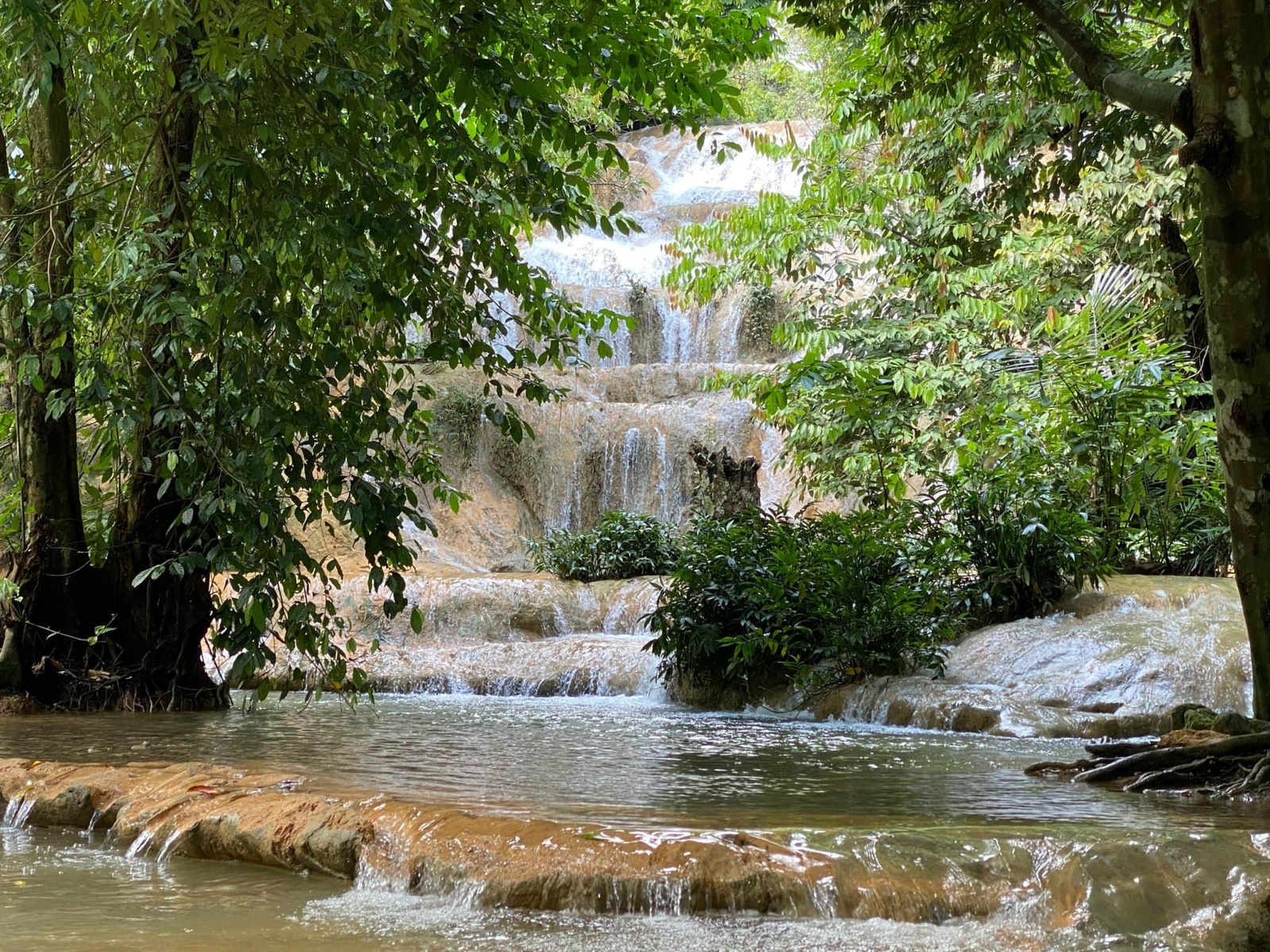 Giới thiệu