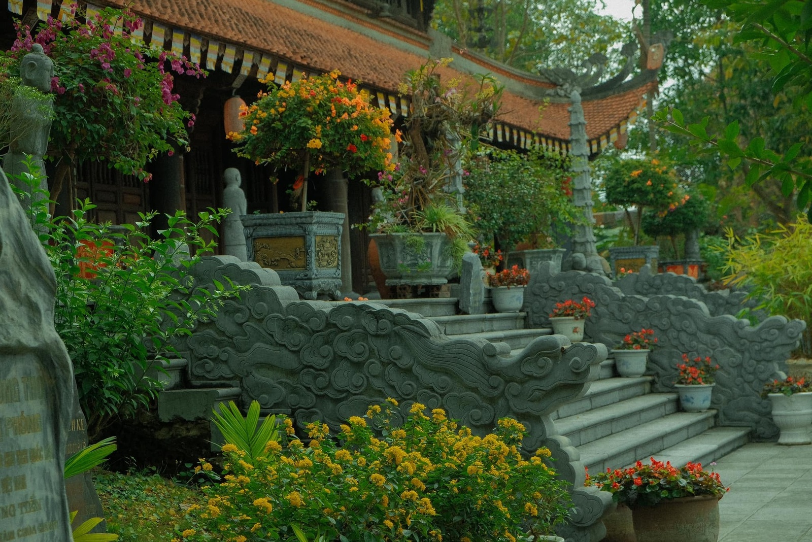 Giới thiệu