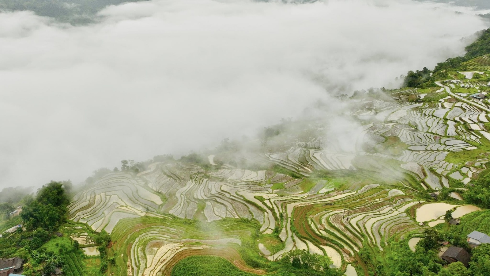 Mùa nước đổ