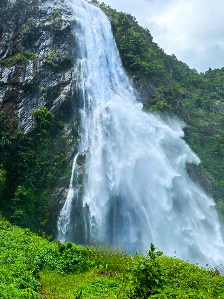Giới thiệu