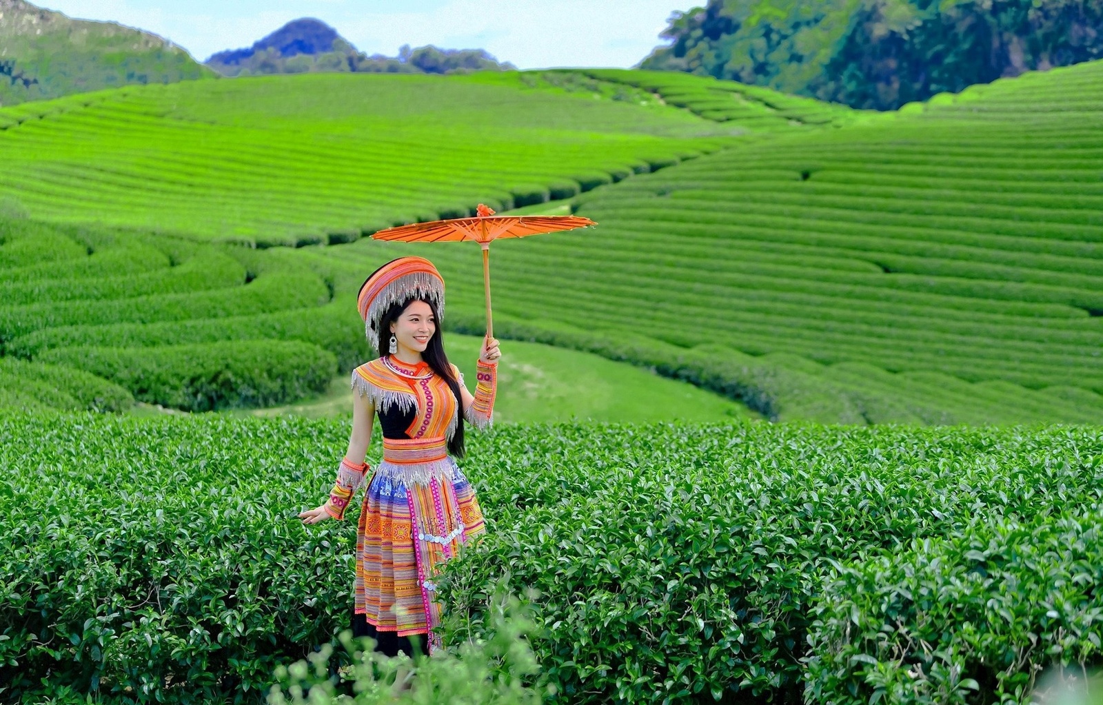 Giới thiệu