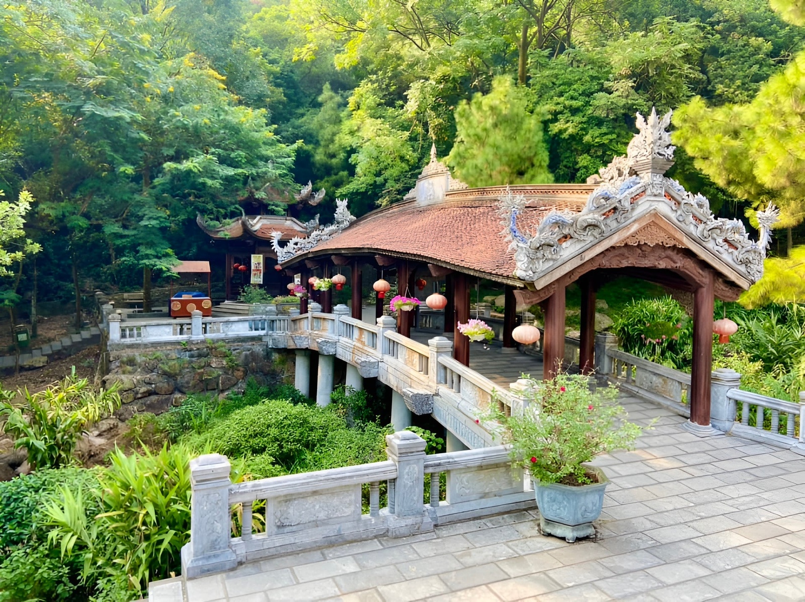 Giới thiệu