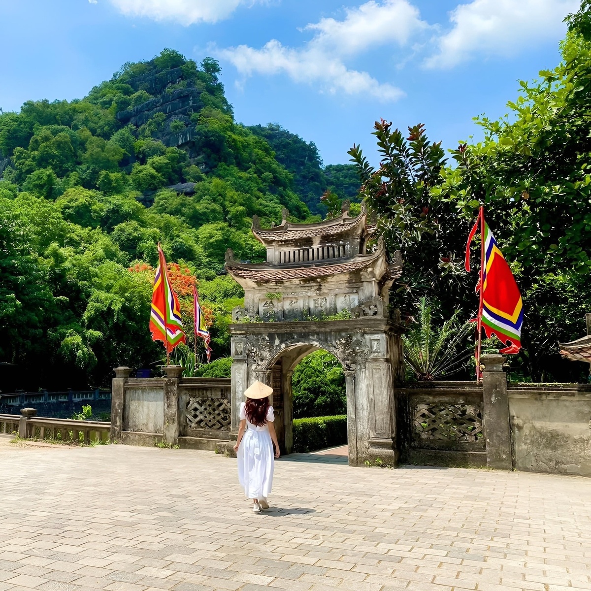 Giới thiệu