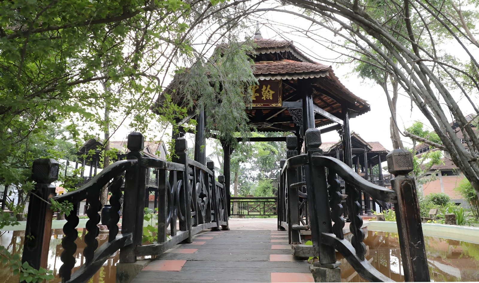 Giới thiệu