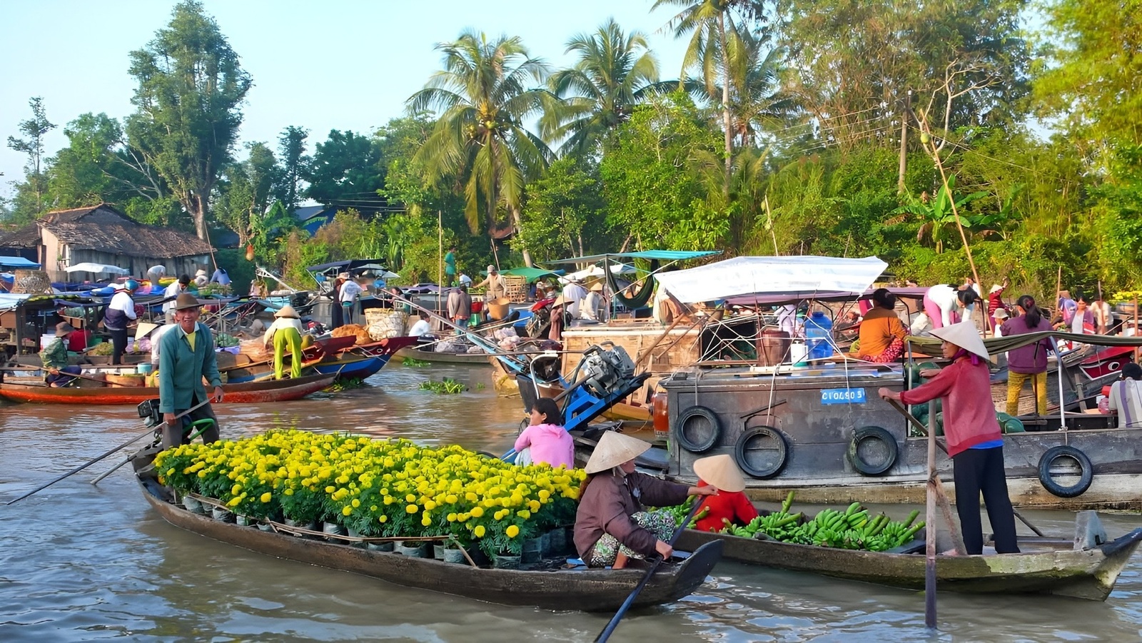 Giới thiệu