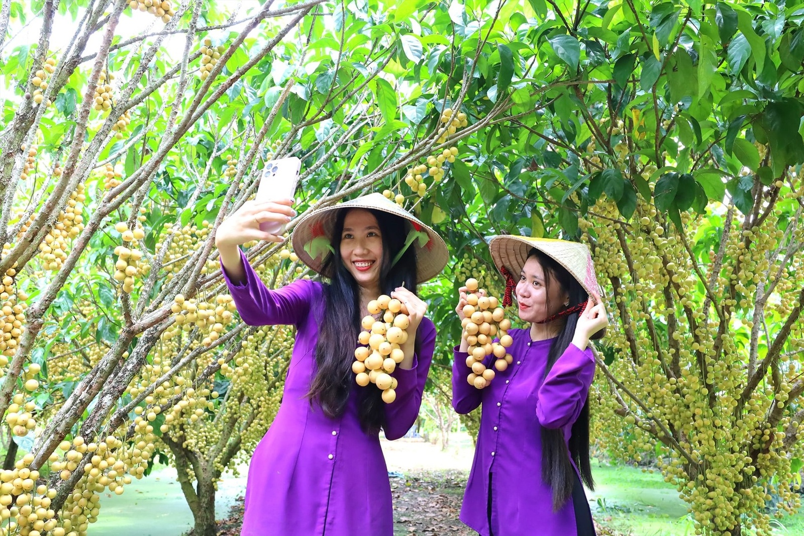 Giới thiệu
