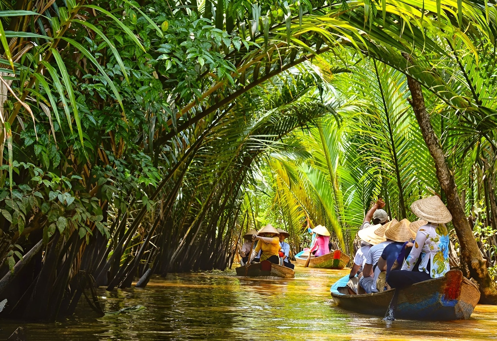 Giới thiệu