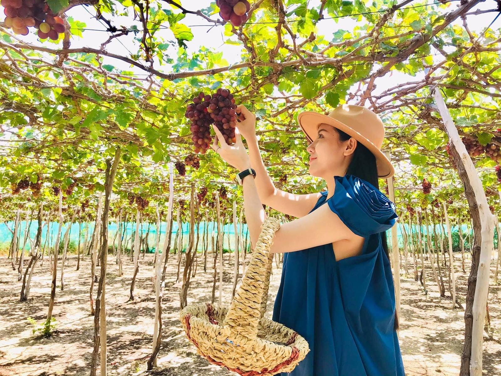 Giới thiệu