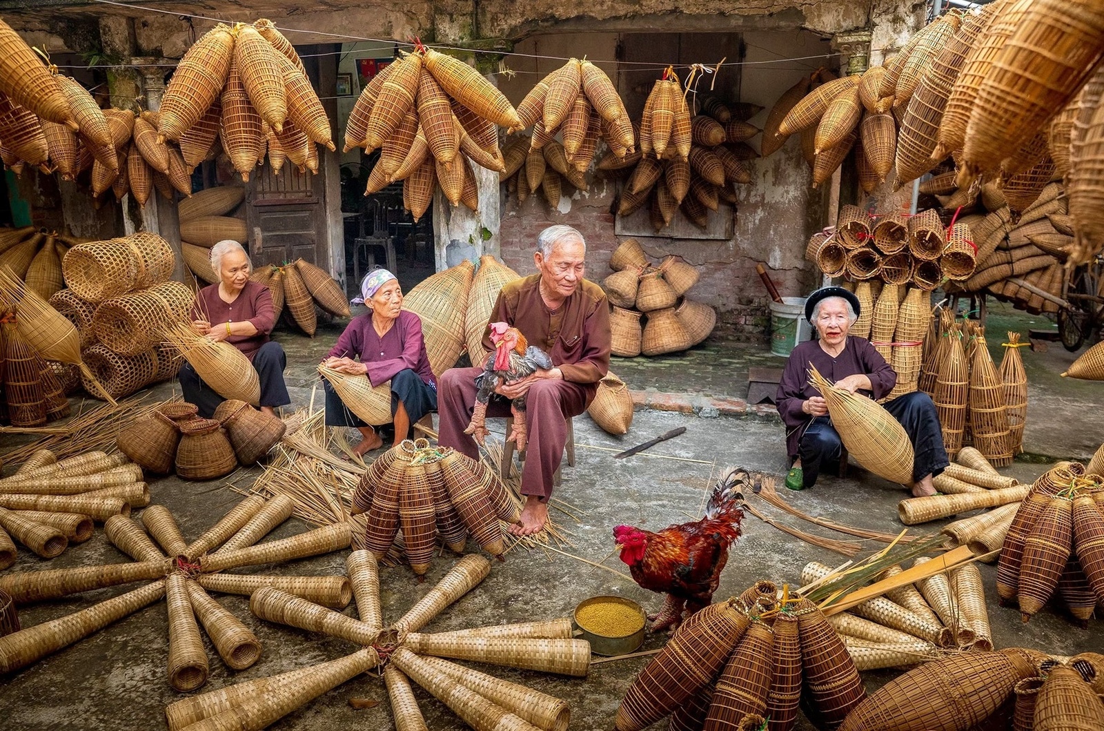 Giới thiệu