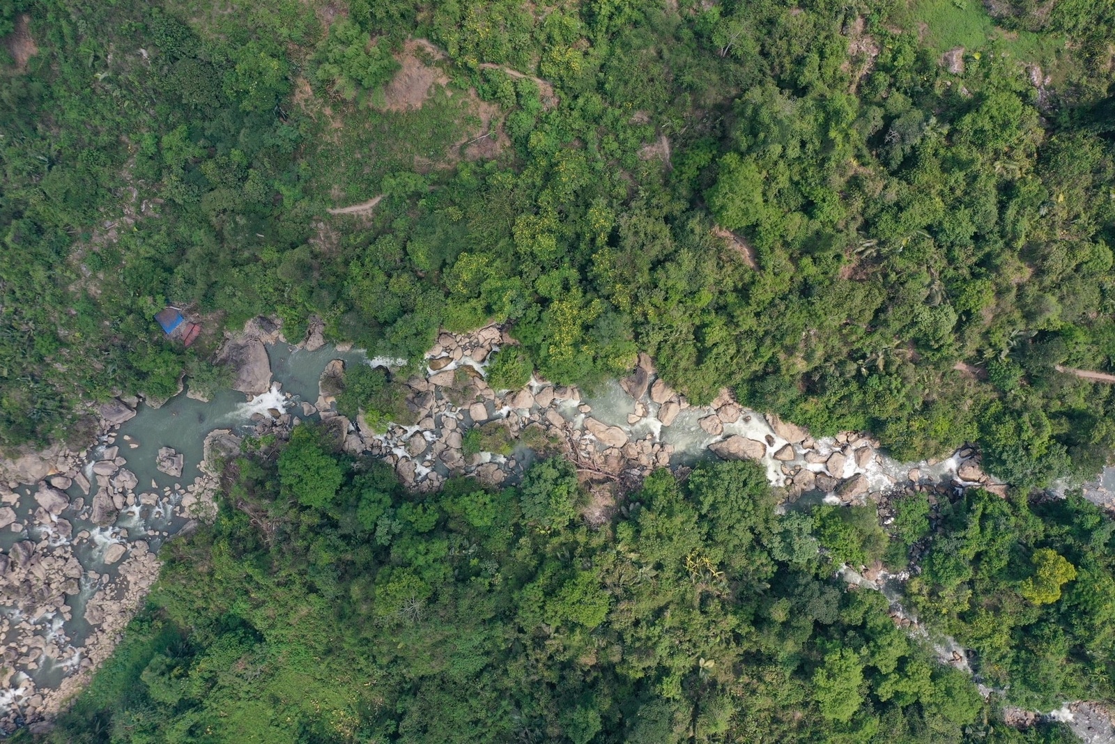 Giới thiệu