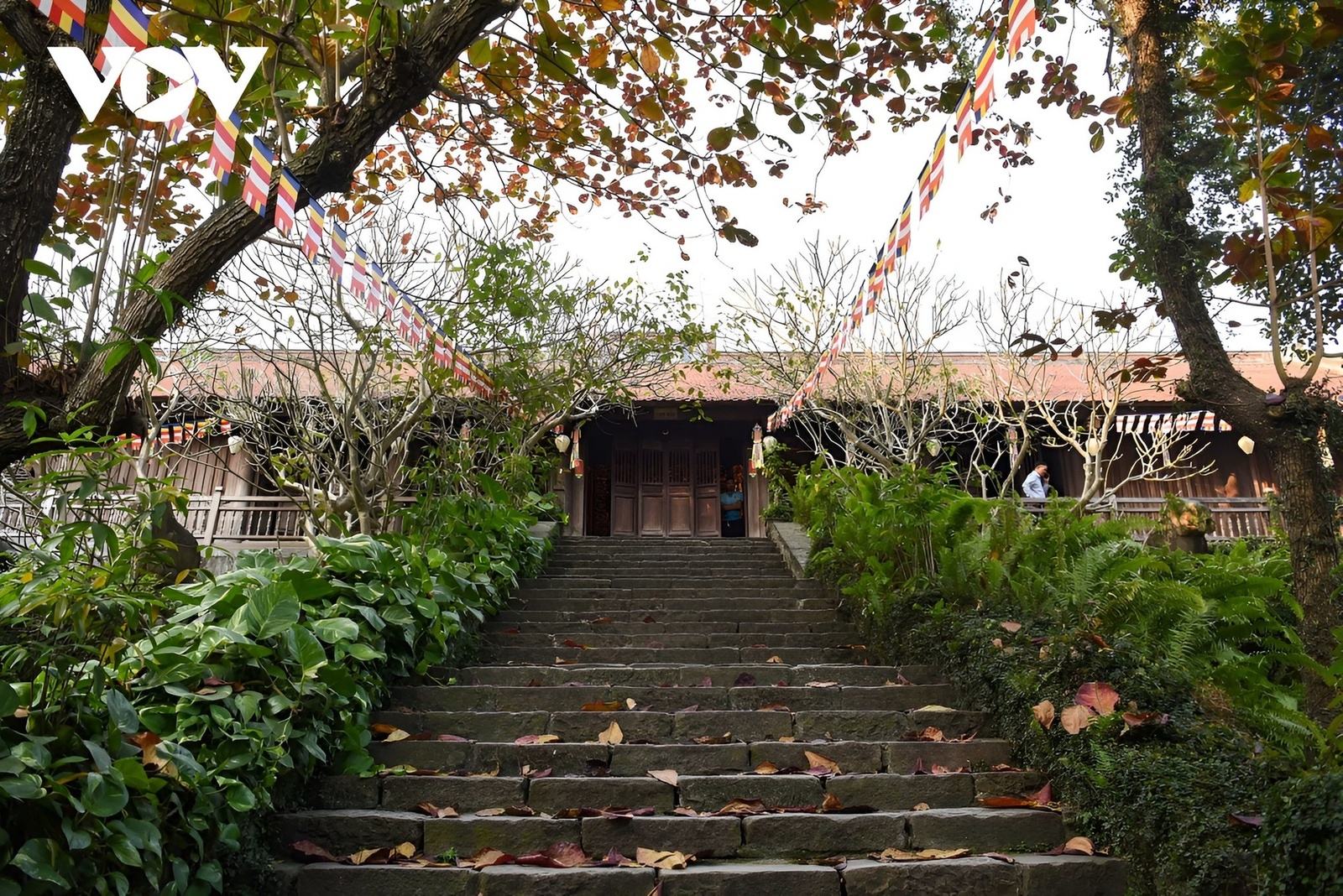 Giới thiệu