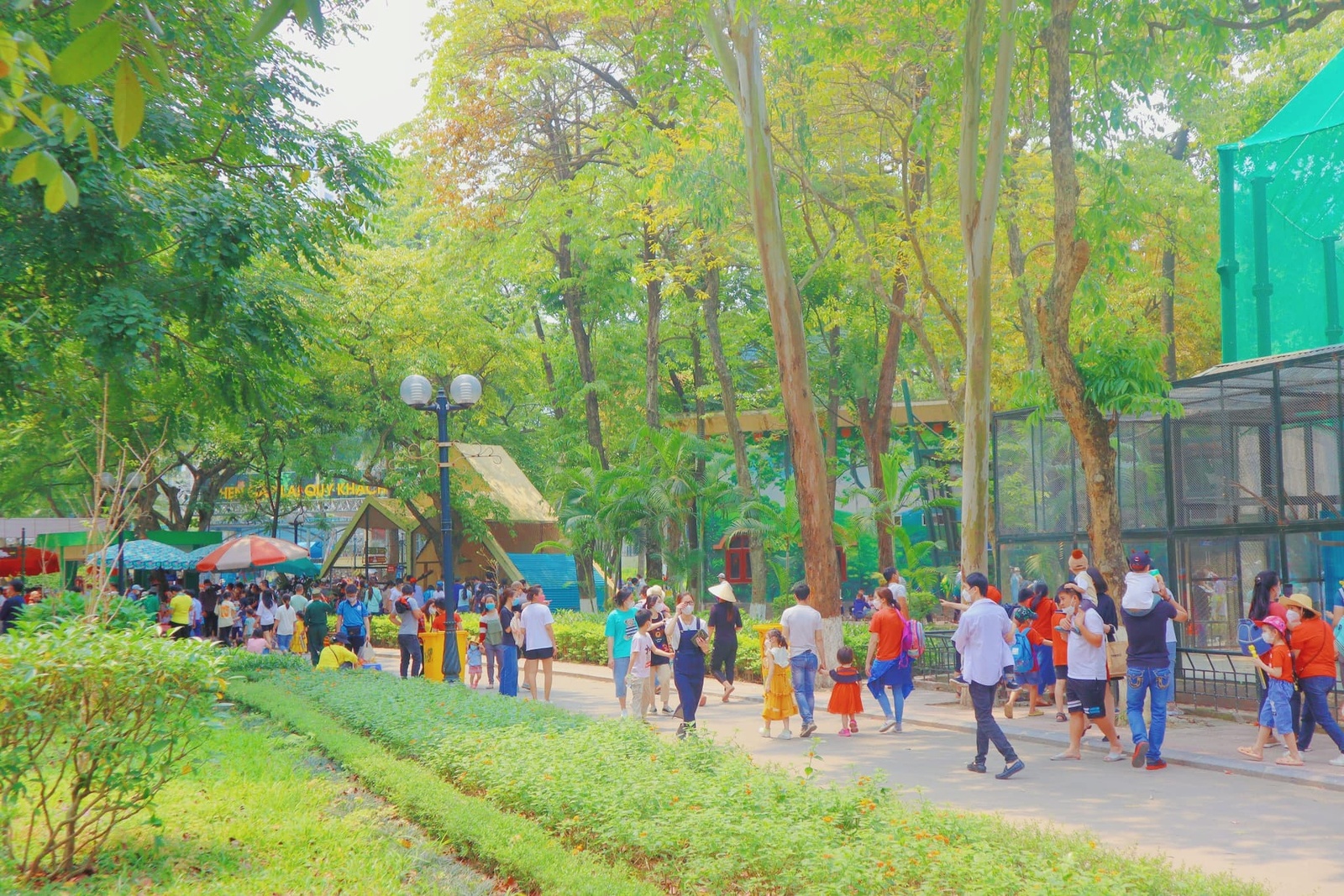 Giới thiệu