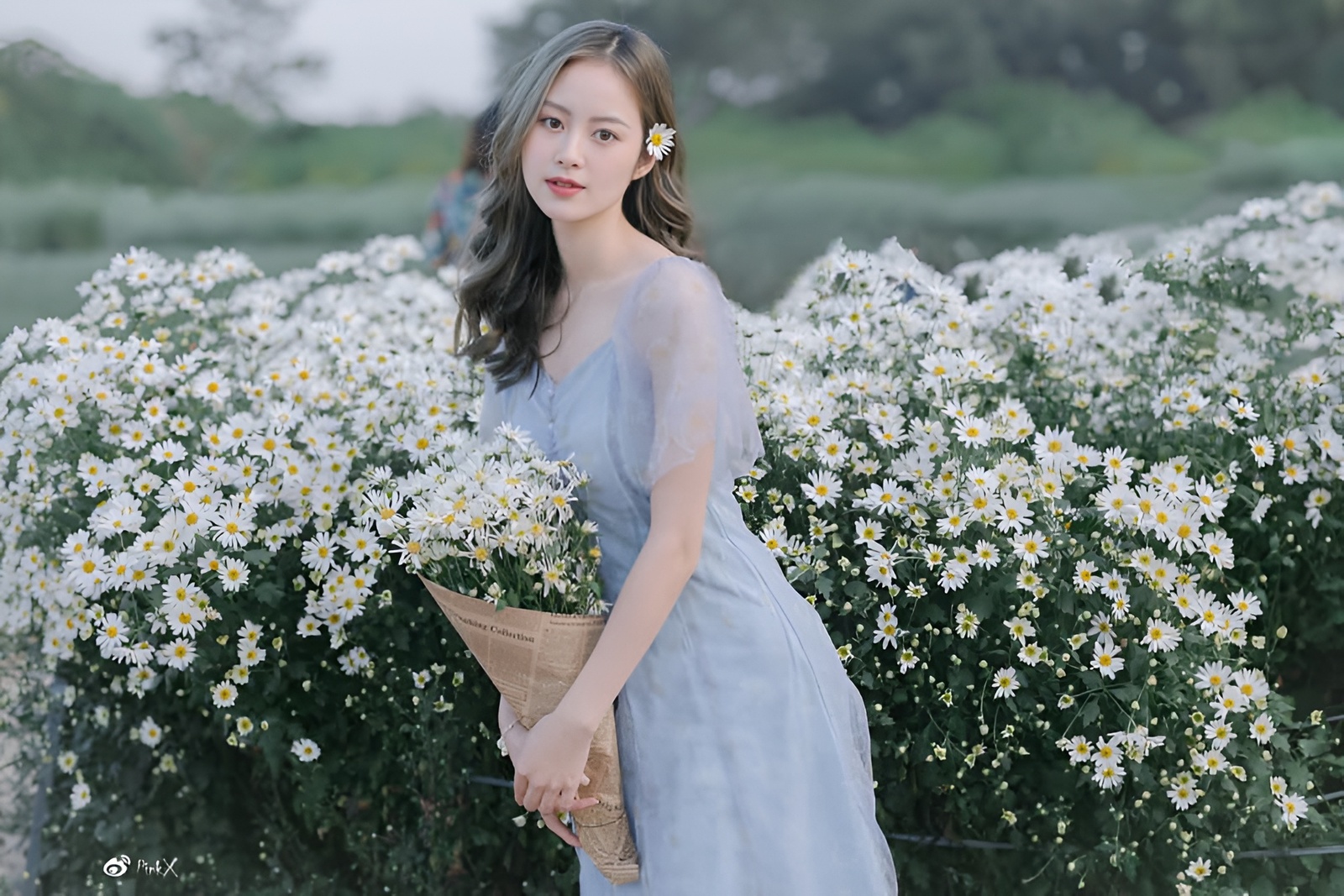 Mai Chinh - Kỷ niệm 11.2021