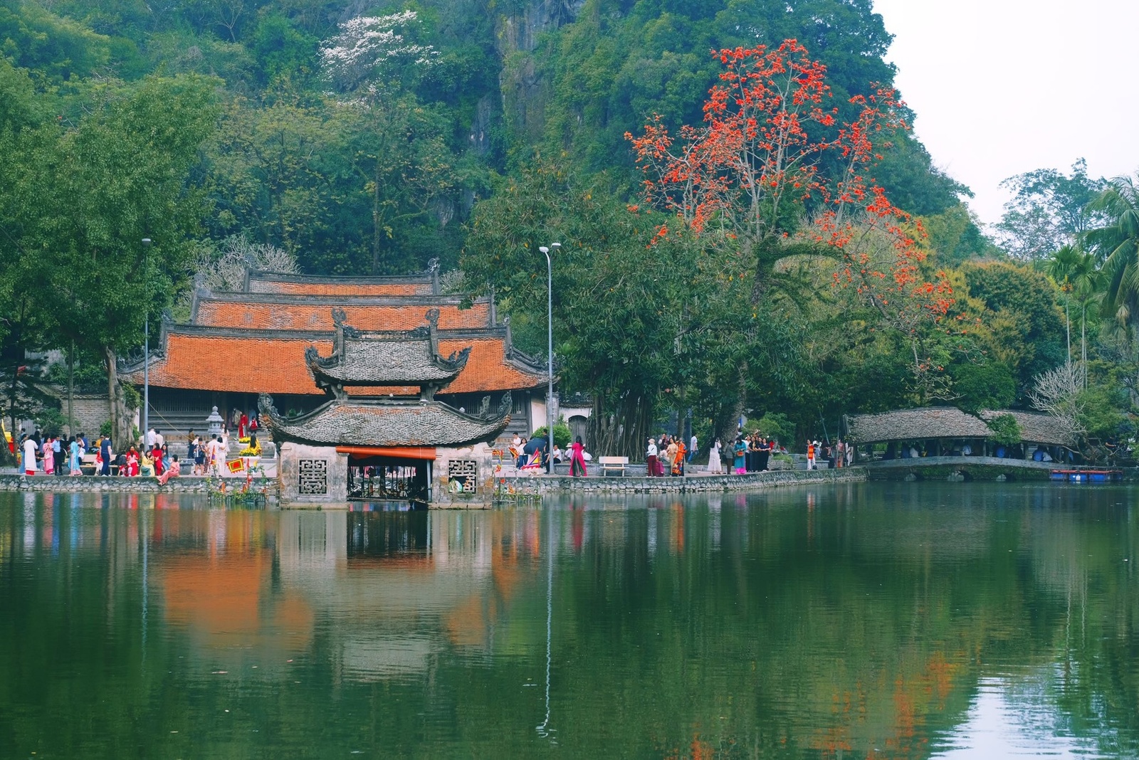 Giới thiệu