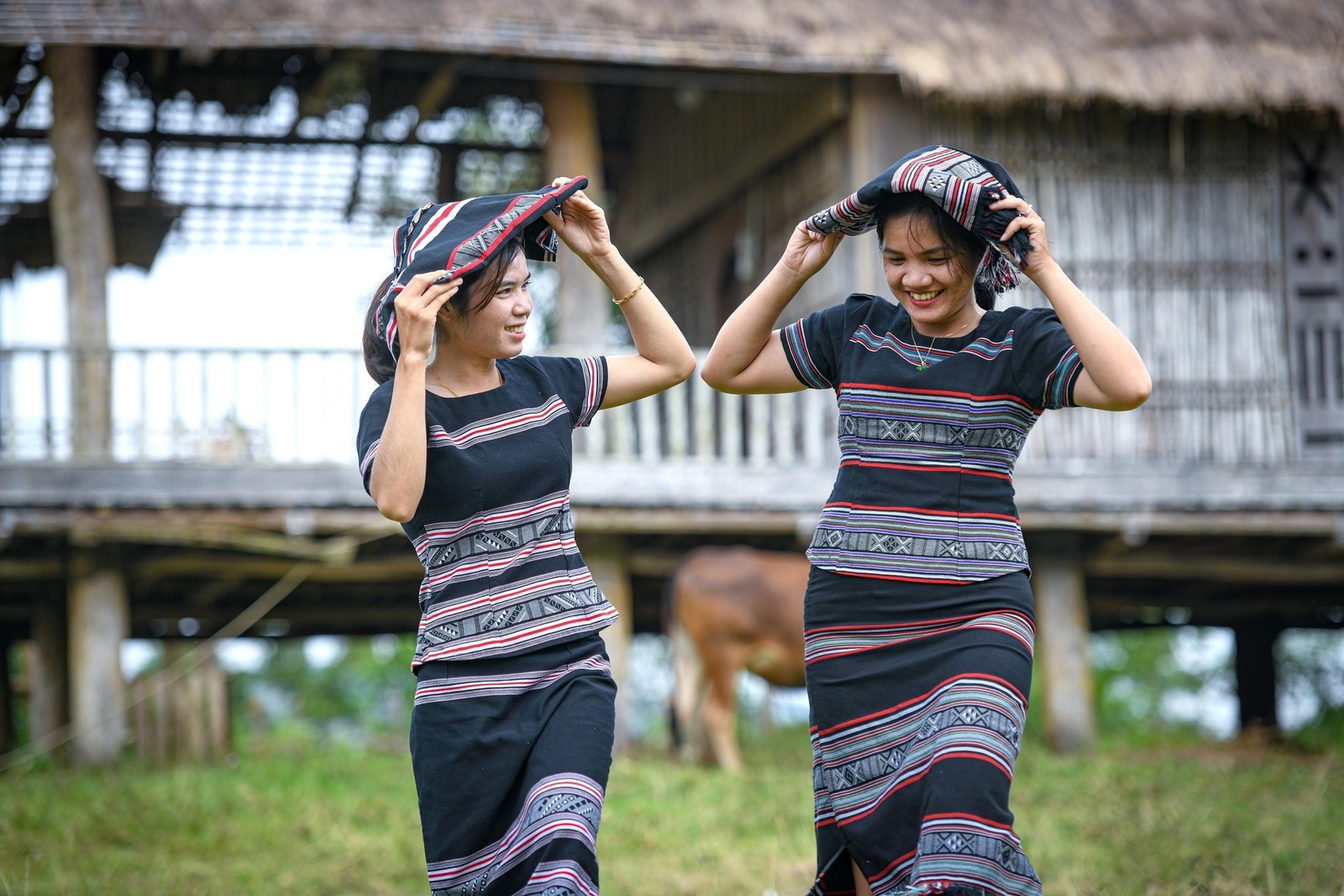 Giới thiệu