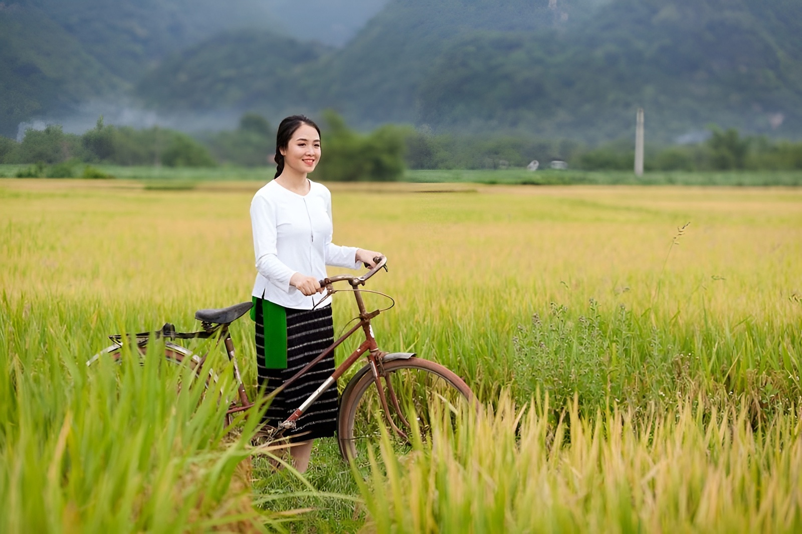 Giới thiệu