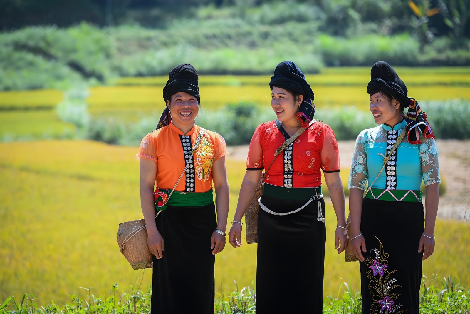 Giới thiệu
