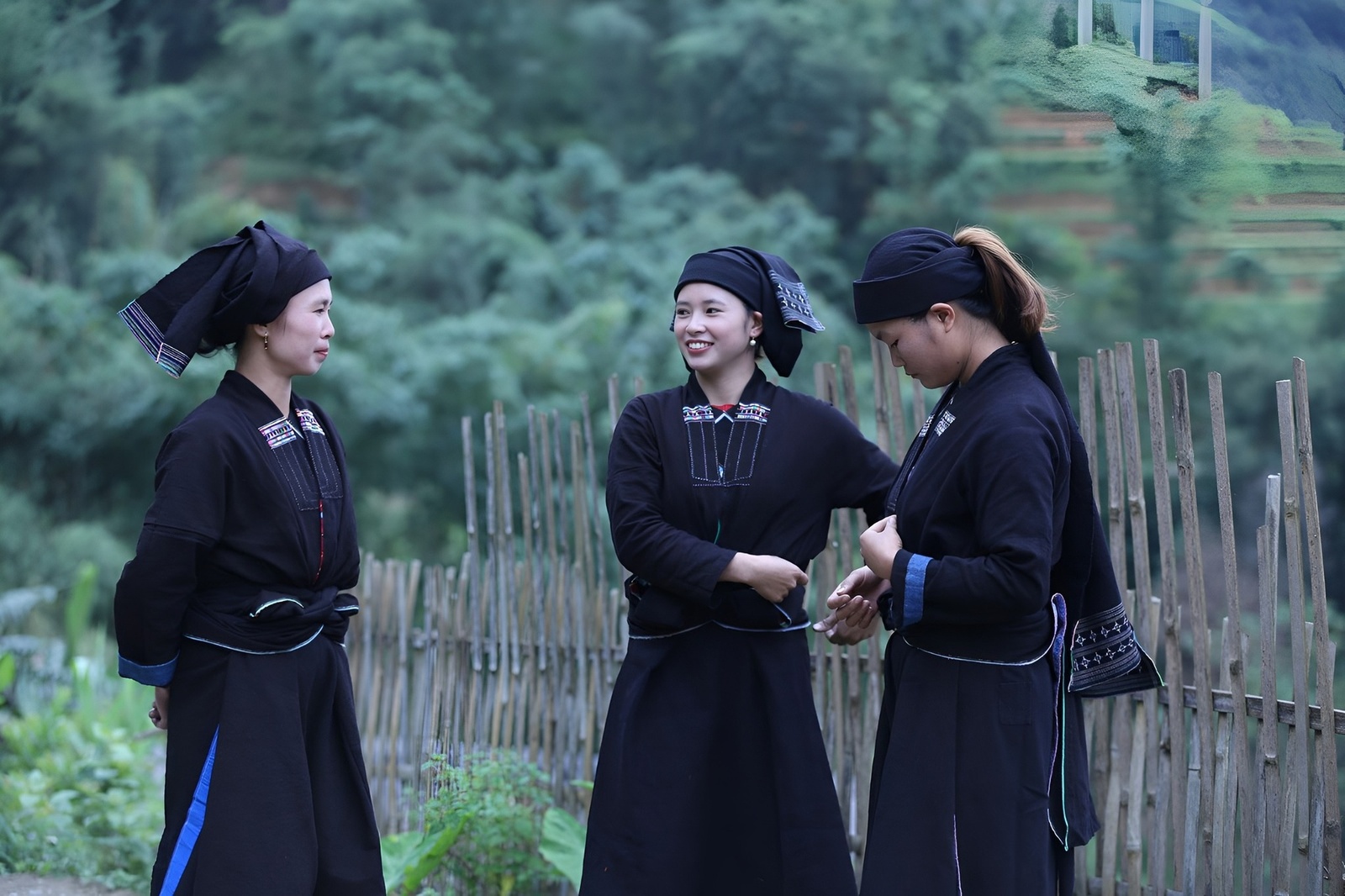 Giới thiệu